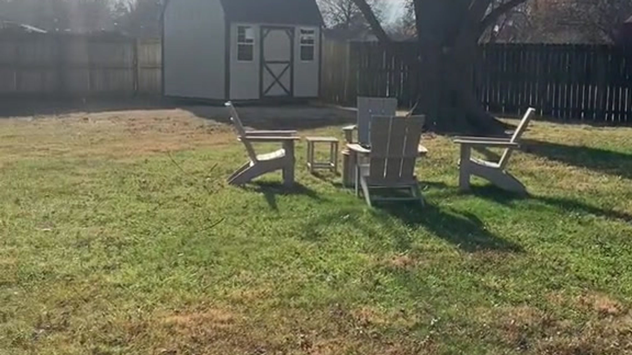 Leaf Removal